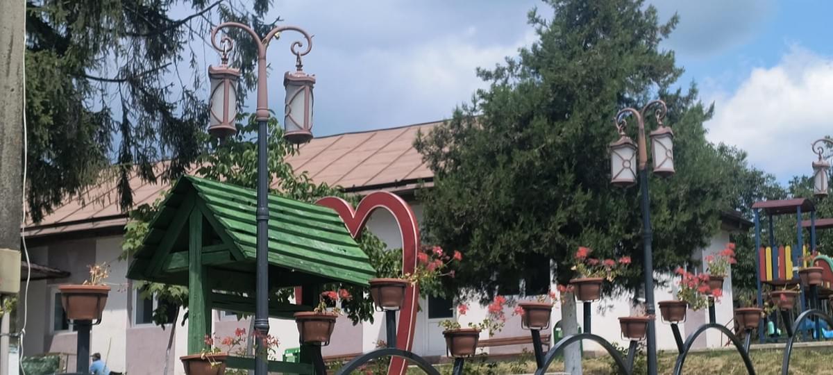 Section image