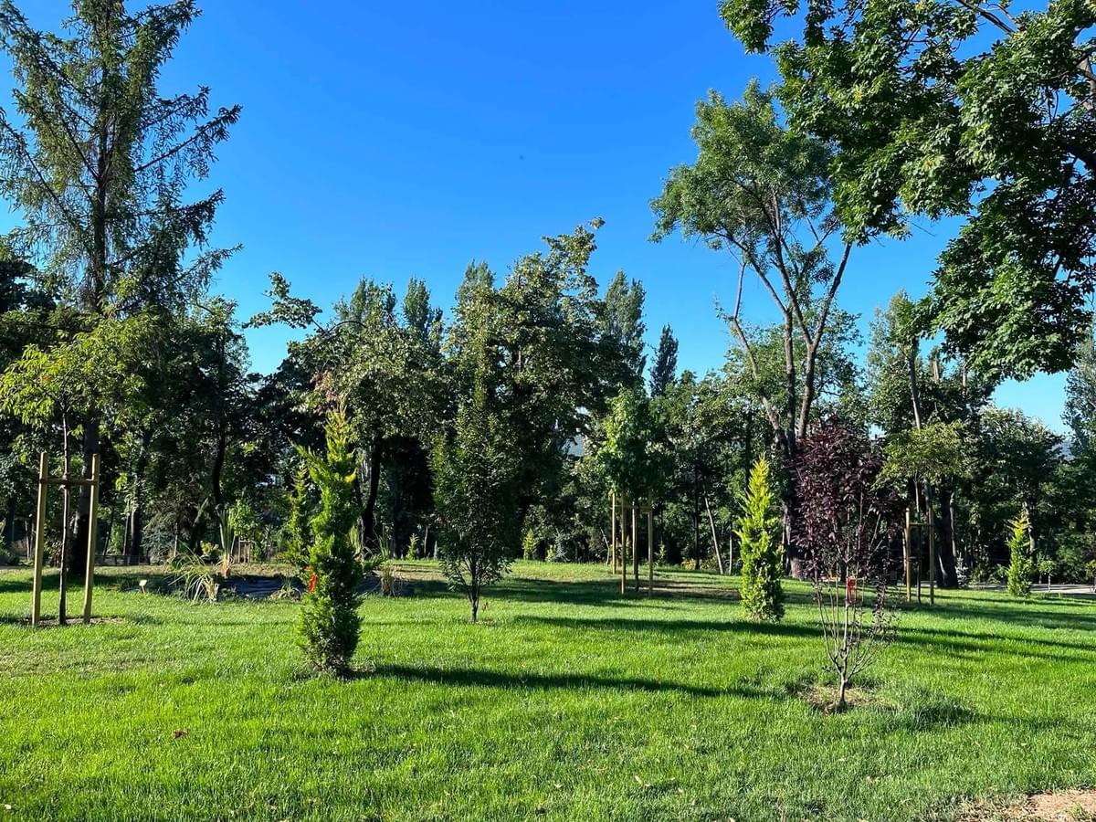 Section image