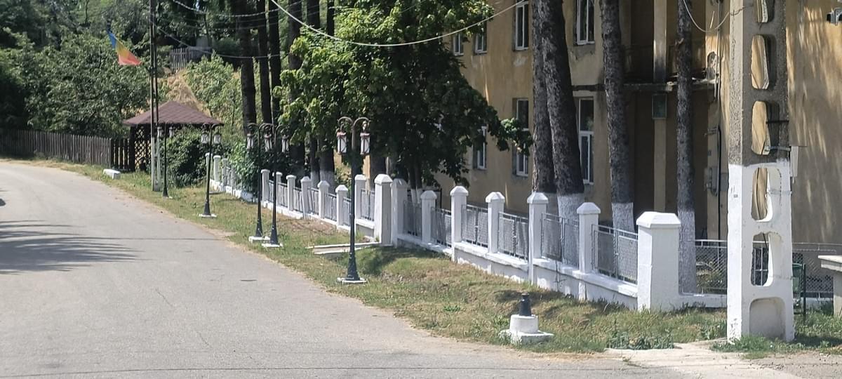Section image