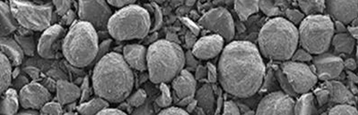 Section image