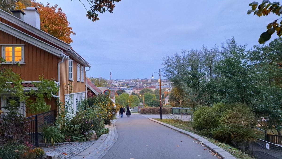 Section image