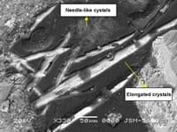 Section image