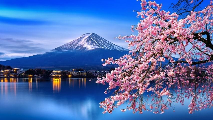 20 ideas that celebrate Spring