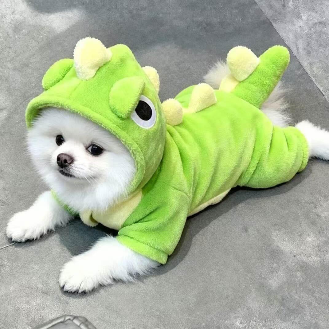 Dinosaur Pet Cloth