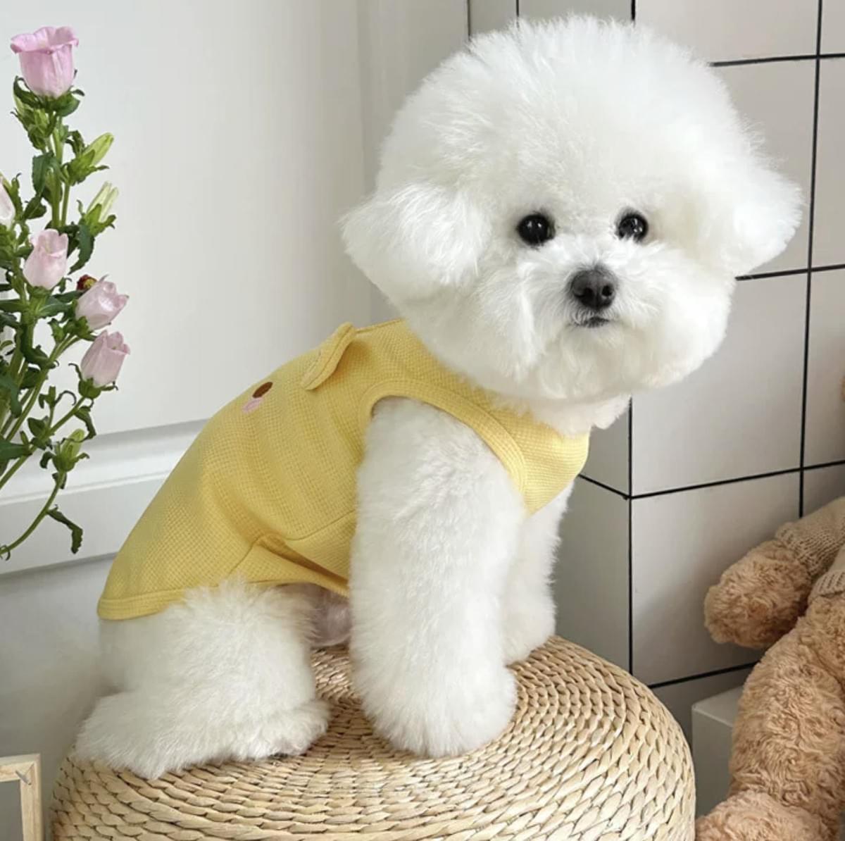 Summer Cute Dog Cloth