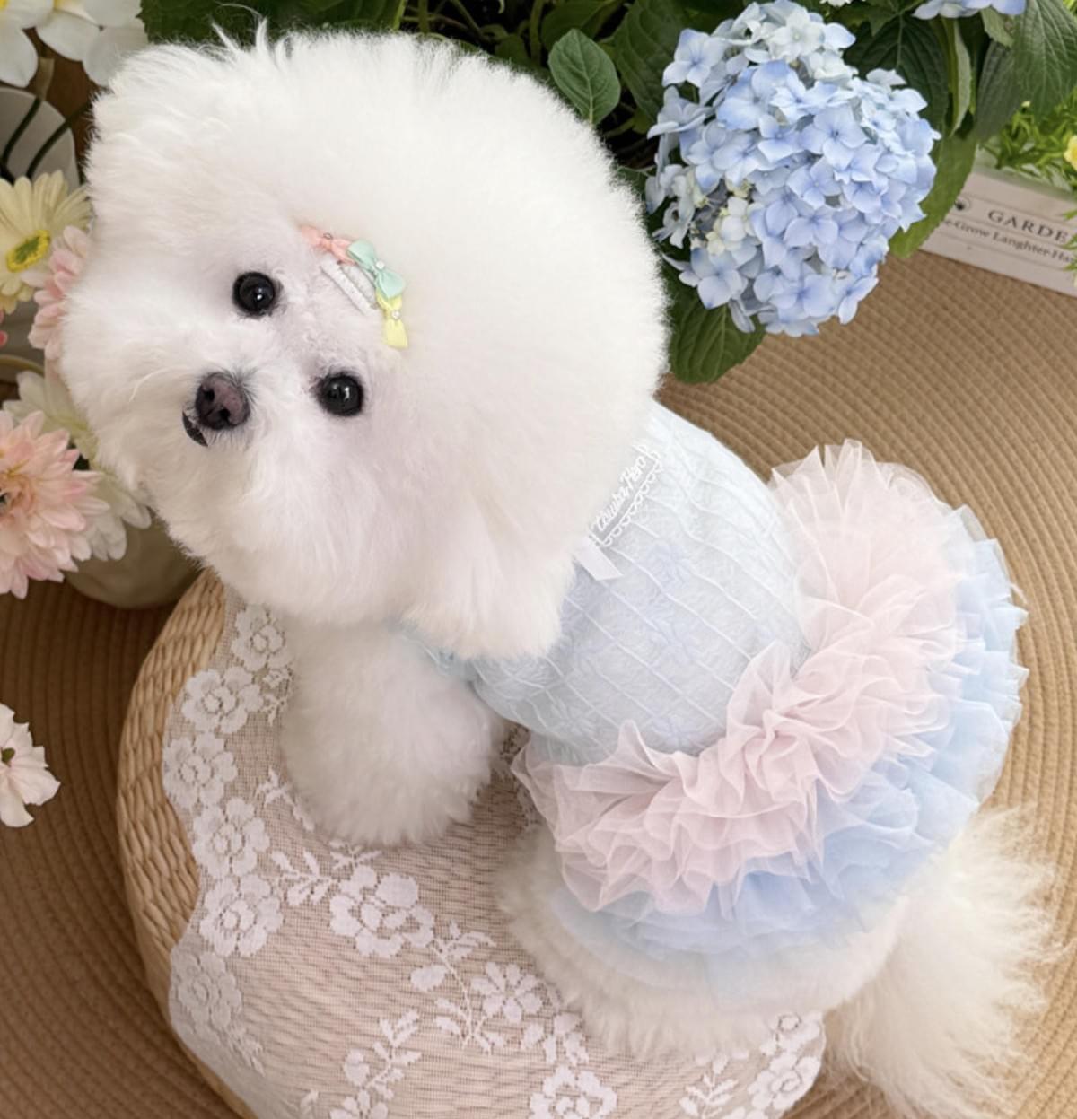 Tulle Skirt Pet Cloth