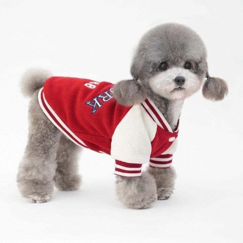 Fashion Dog Cloth
