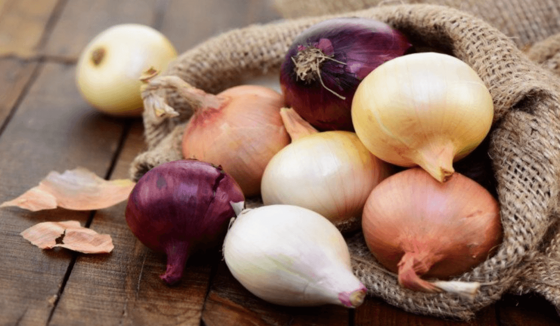 We offer a complete selection of personal care items that take care of your hygiene and daily well-being. Personal Hygiene Articles What we offer Sale of cleaning and personal hygiene products