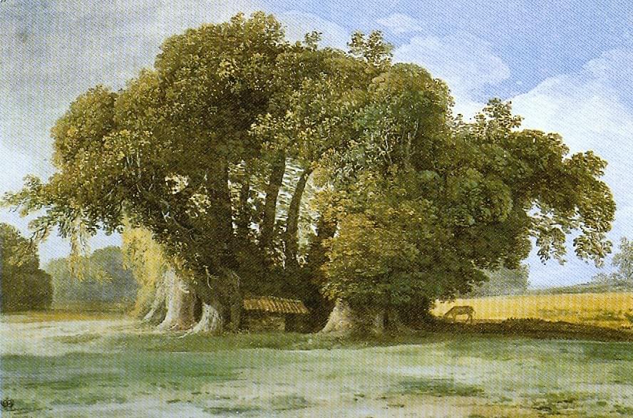 The Hundred Horse Chestnut Tree