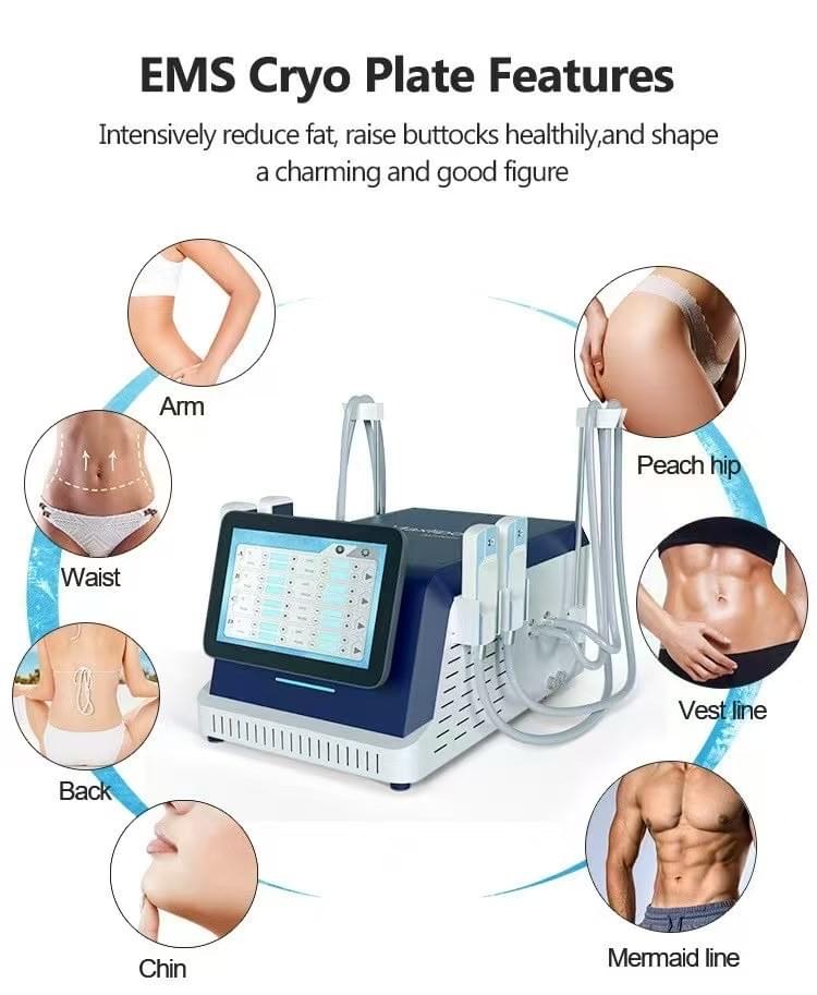 Cryopad Body Slimming System C209 1