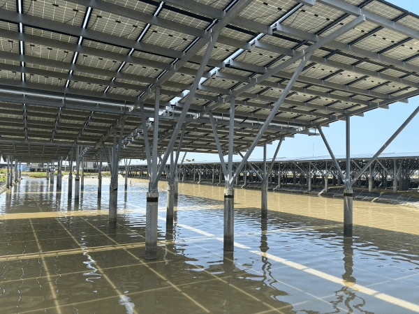 Aquaponics
