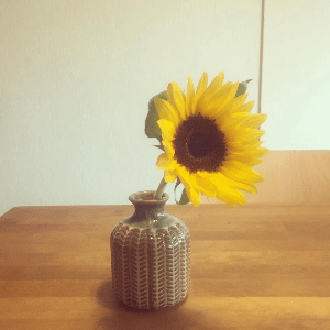 生け花との出遇い