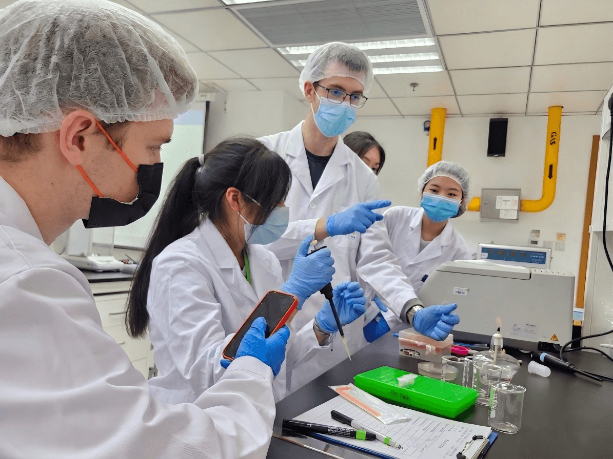 Section image