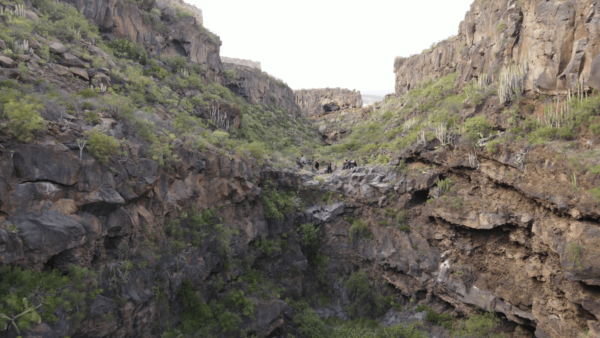 Section image