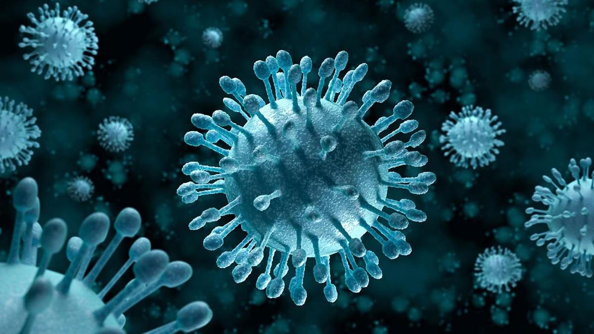 BIOL - Viruses 😱 - Pathogens Virus Biology