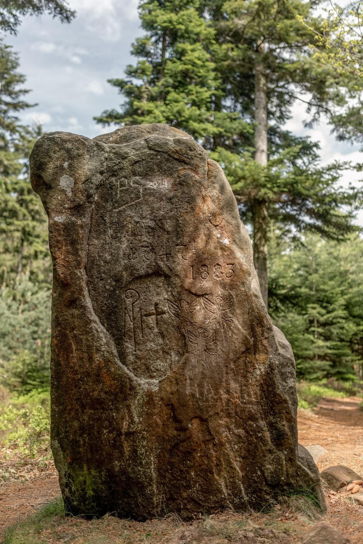 Section image
