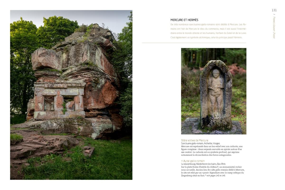 Section image