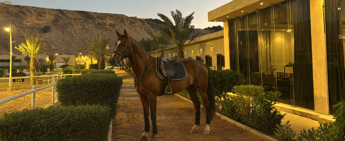 Professional and enjoyable equestrian experience in the heart of the city Center Minira for Horses "Equestrian experience that combines professionalism and passion."
