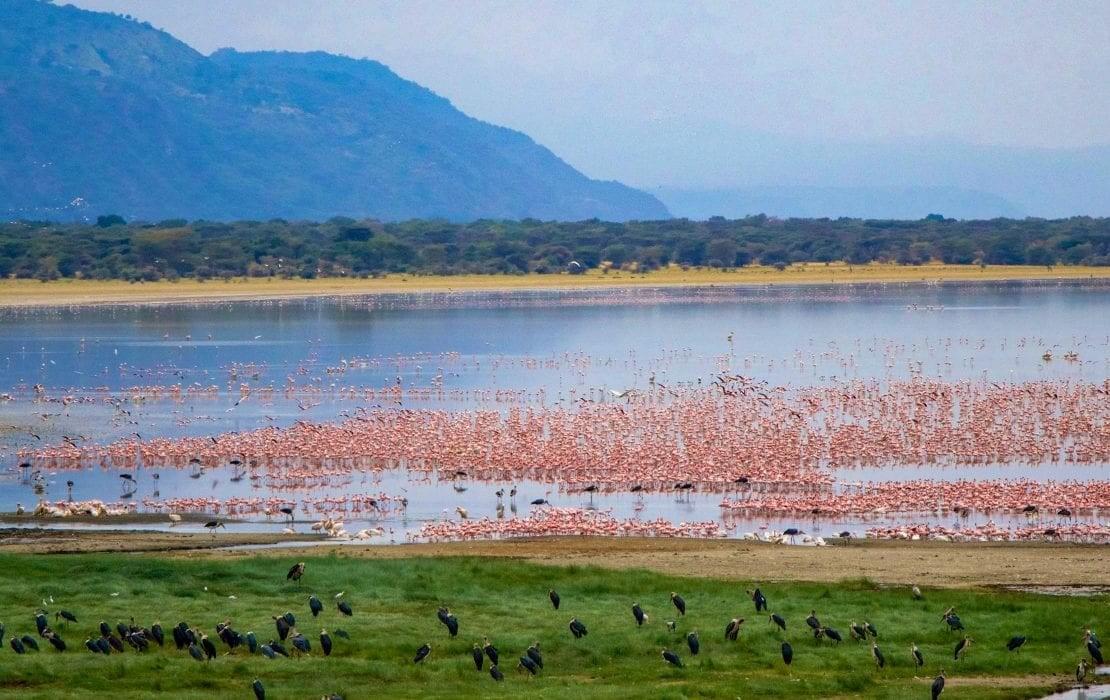 Experience unforgettable safaris and guided tours tailored just for you Discover the World with Expert Tours Tours & Safaris Experience unforgettable safaris and guided tours tailored just for you Discover the World with Expert Tours Tours & Safaris