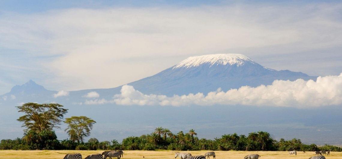 Experience unforgettable safaris and guided tours tailored just for you Discover the World with Expert Tours Tours & Safaris Experience unforgettable safaris and guided tours tailored just for you Discover the World with Expert Tours Tours & Safaris