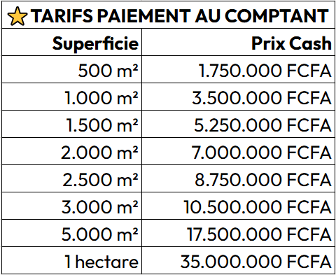Terrains titrés à BIKOK (périphérie de NSIMALEN), 150 m du goudron – Paiement jusqu’à 12 mois [T30]