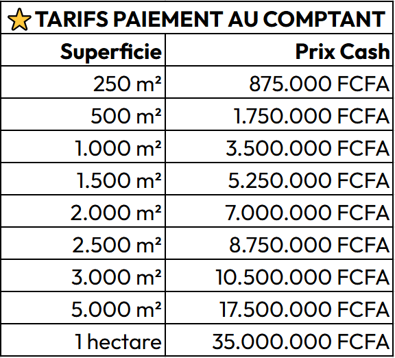 Terrains titrés à BIKOK (périphérie de NSIMALEN), 150 m du goudron – Paiement jusqu’à 12 mois [T30]