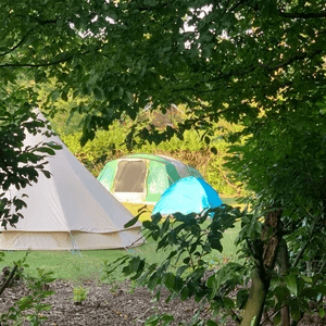 tents viewed through a gap in the trees