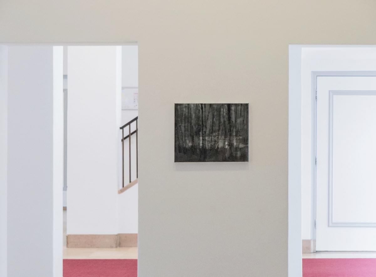 Schilderij- painting - Harm van den Berg - Installation view: Vista, 2015, 40 x 50 cm, oil / acrylic on linen