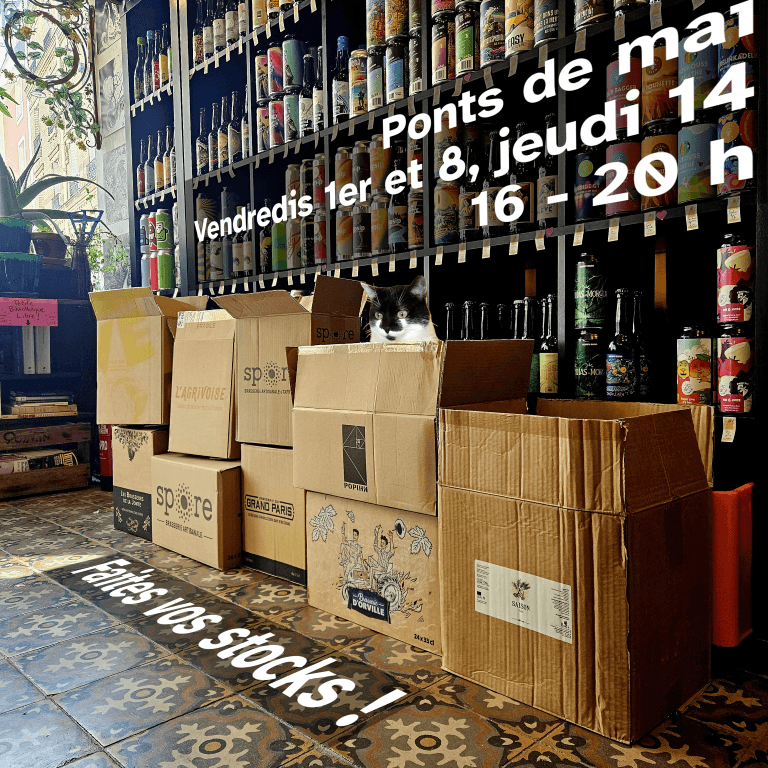 Piles de cartons vides devant les étagères pleines de la boutique. Un chat est terré dans l'un d'entre eux.
