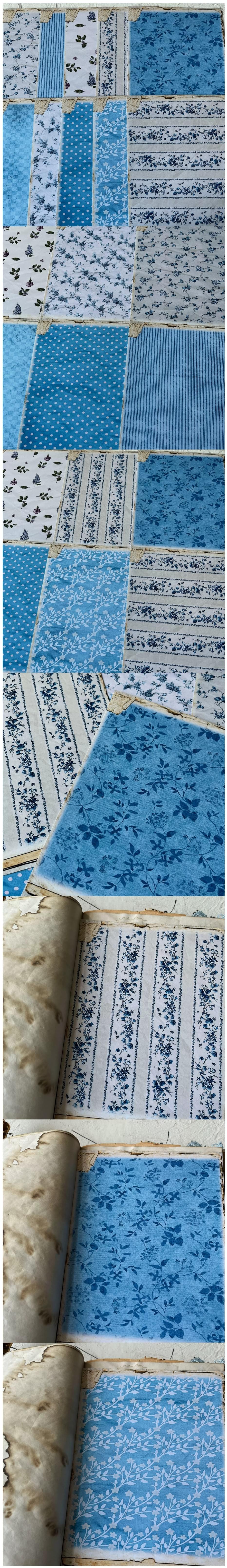 Vintage Indigo Botanical & Blue Flora Papers (24-25)
