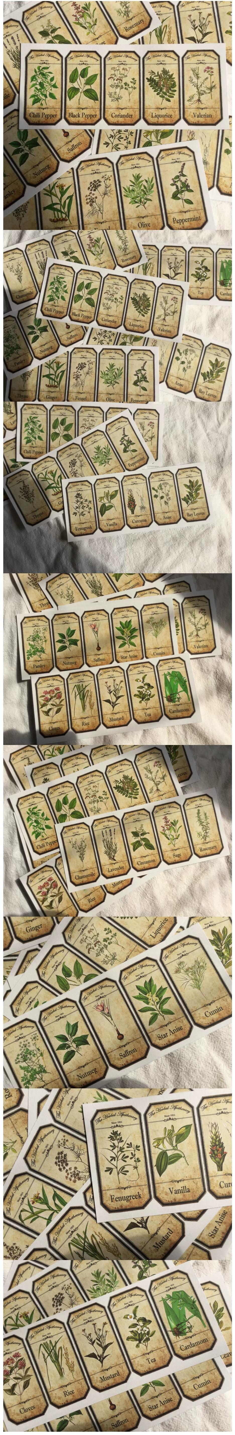 Clear Washi Paper Botanical & Fern Sticker Sheets (10-87)