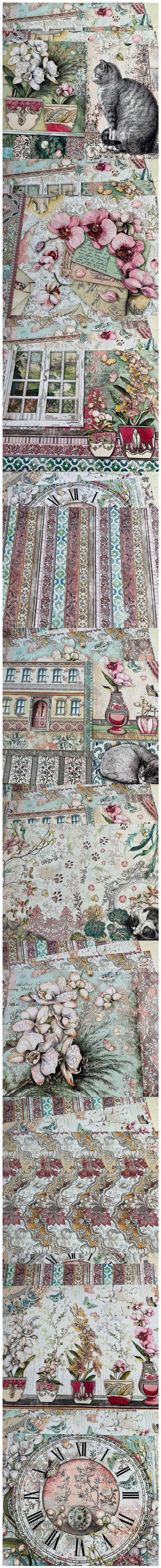 Vintage Cats & Orchid Timepiece Prints (22-25)