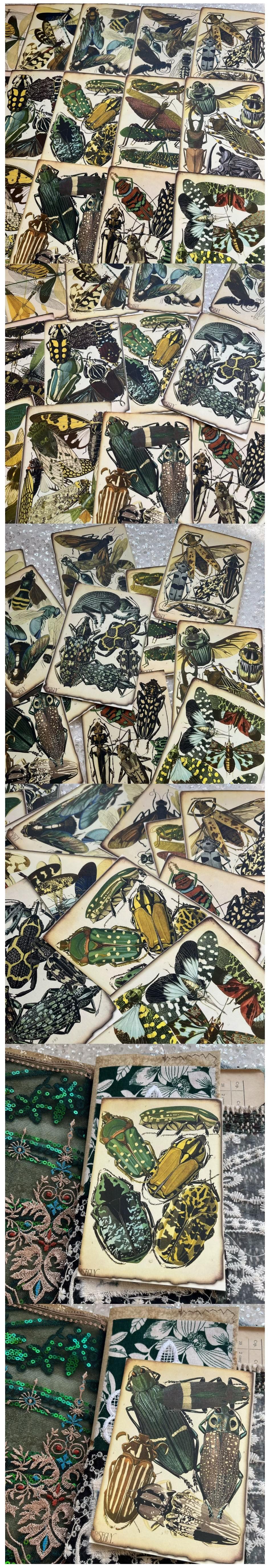 Retro Jungles, Butterflies & Foliage Memos (22-27)