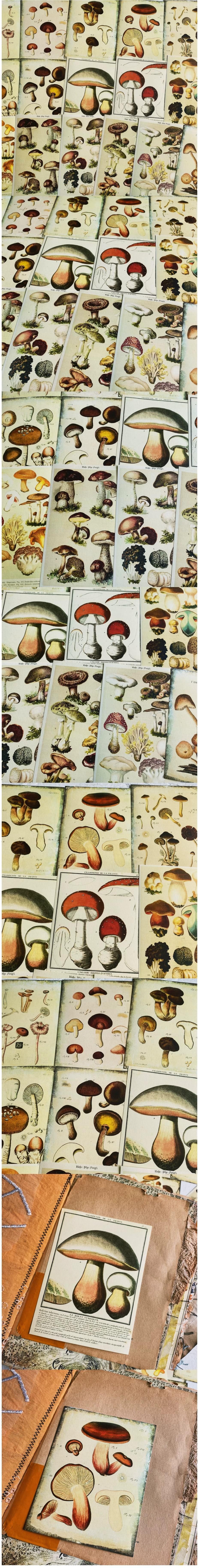 Retro Mushroom & Woodland Botanical Memos (22-67)