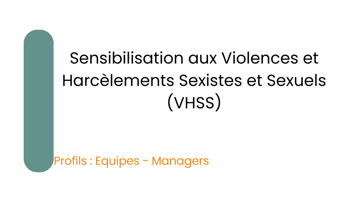 vignette de la formation VHSS