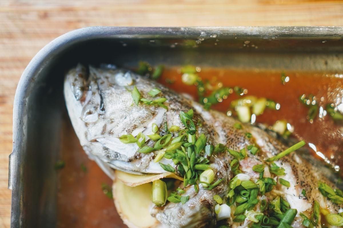 How to Steam Fish! Recipes Techniques