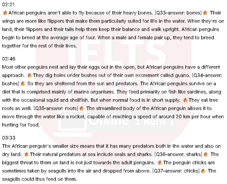 Penguins in Africa: Đề thi IELTS LISTENING (actual test)