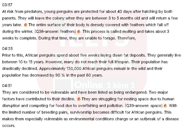 Penguins in Africa: Đề thi IELTS LISTENING (actual test)