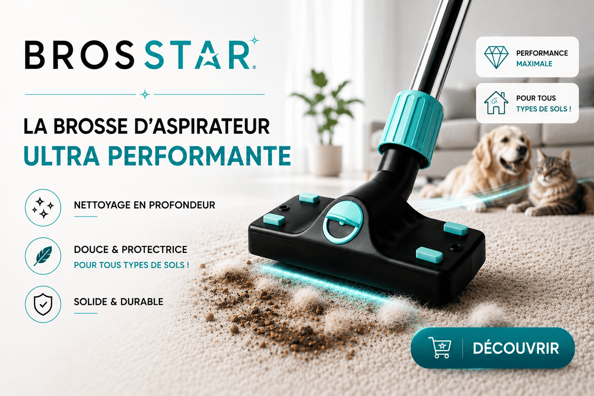 Brosstar brosse aspirateur universelle