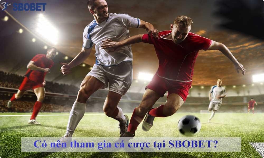 Tham gia cá cược tại SBOBET