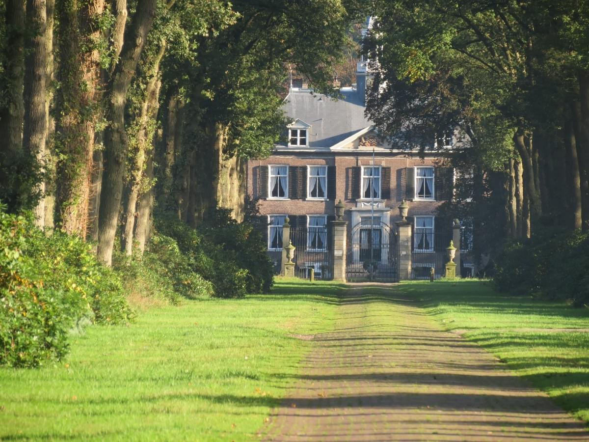 Section image