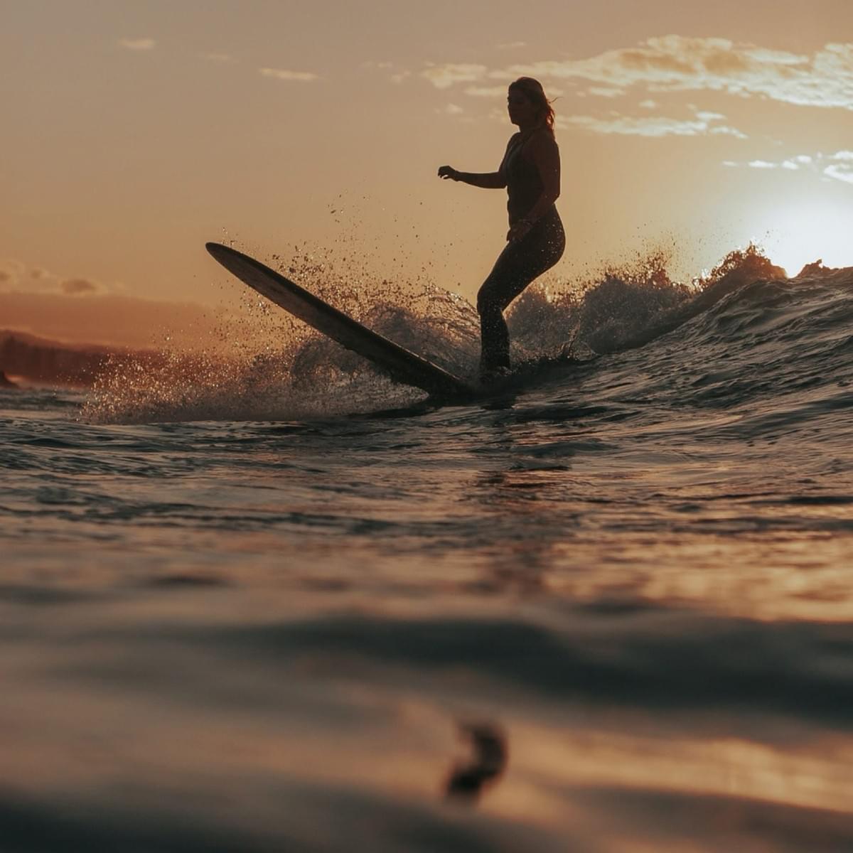 Sepia toned photogragh of a woman standing up surfing a wave. The image is in silhouette, the camera angle is from the water looking up towards the woman. The sun is setting in the background