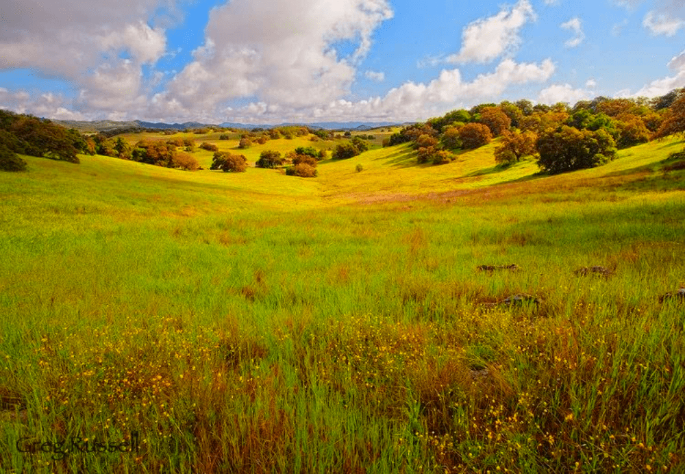 HAVE YOU HEARD OF THE BEAUTY OF SANTA ROSA WITH UNITED ...