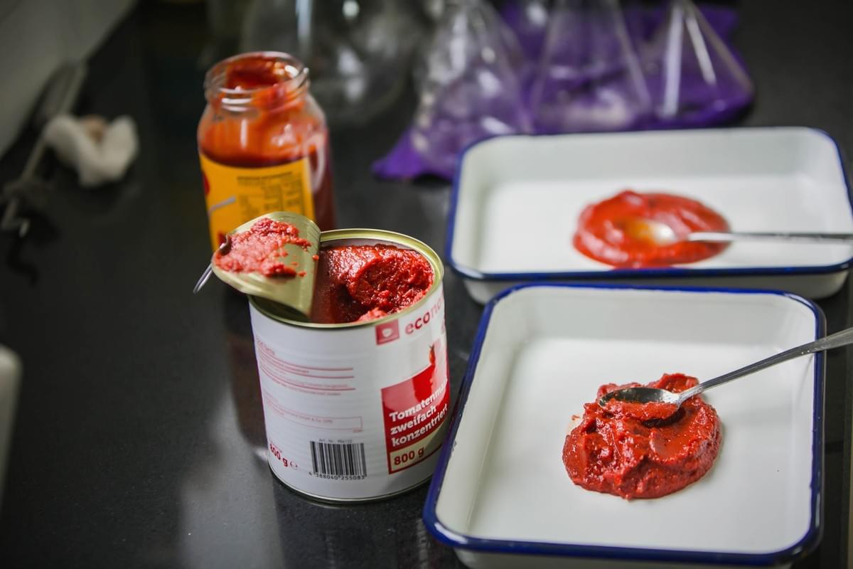 Tomato Paste from Kingstar Food