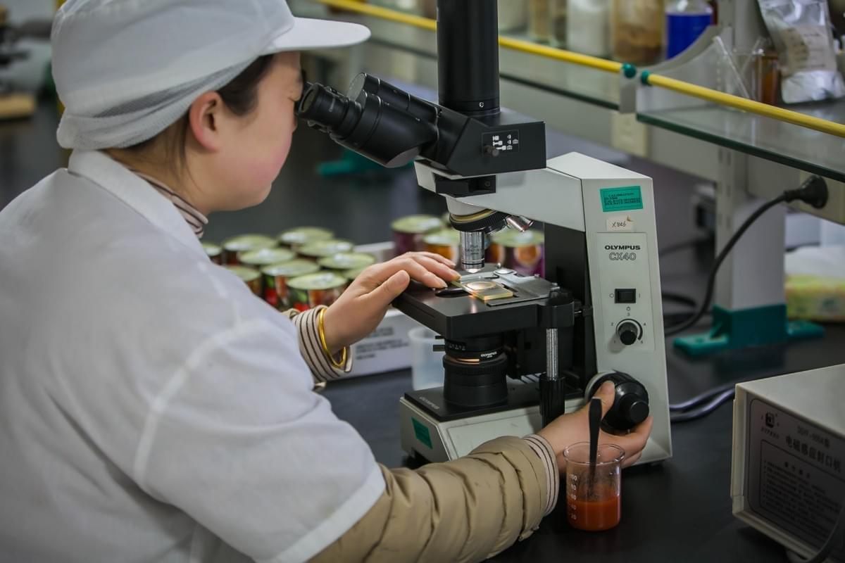 Quality check of pasta sauce from Kingstar Food