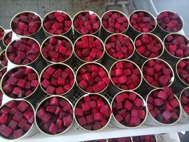 REMOLACHA EN CONSERVA