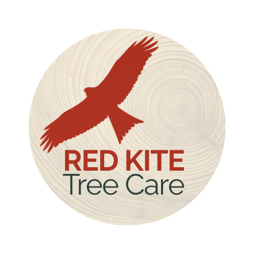 Red Kite Tree Care Logo