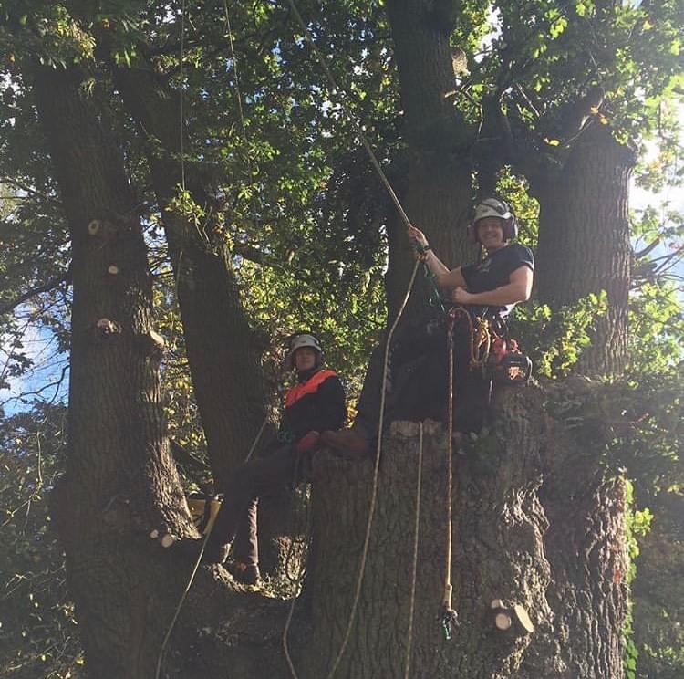 Conservation Arboriculture
