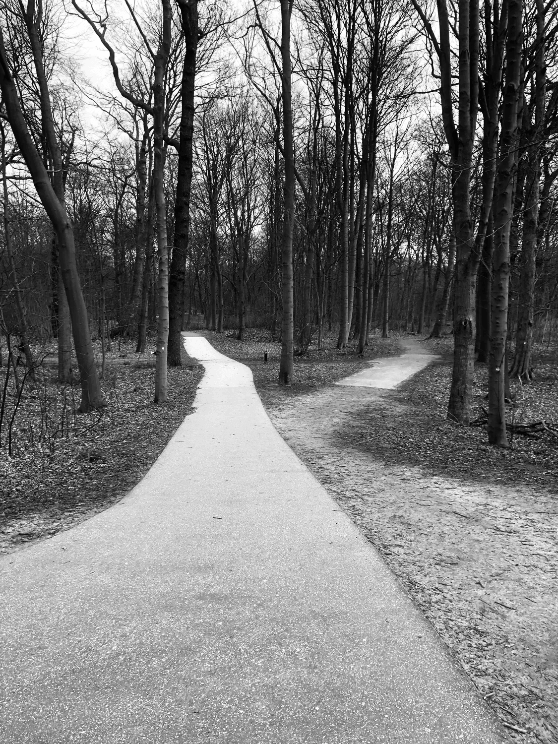 A new path