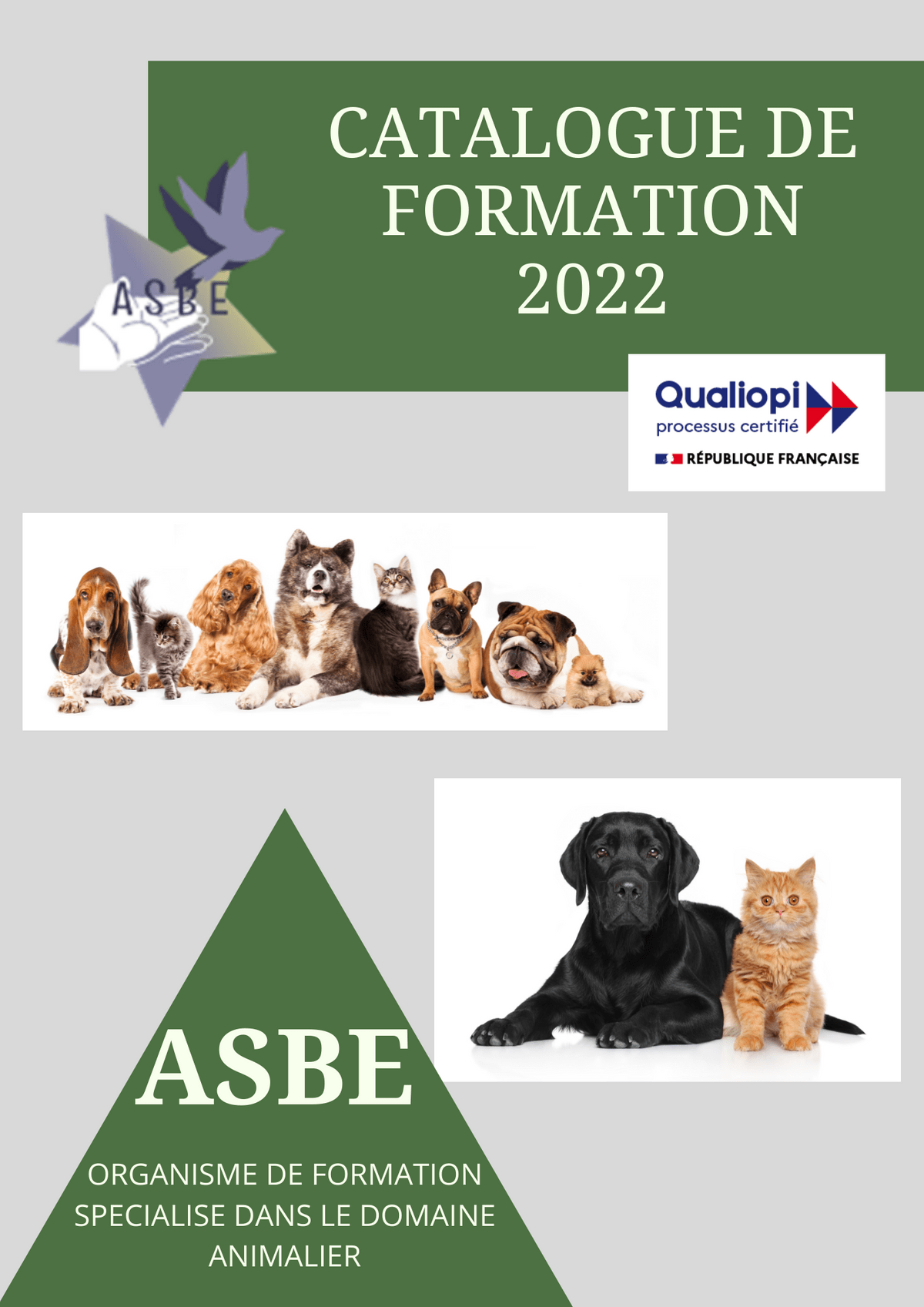 Asbe Chien Chat